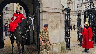 I QUIT! HORSE HAS ENOUGH OF STUPID TOURISTS AND DECIDES TO FINISH EARLY at Horse Guards!