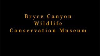 Bryce Canyon Wildlife Conservation Museum