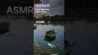 수면음악 자연의 소리 개구리+보슬비 소리