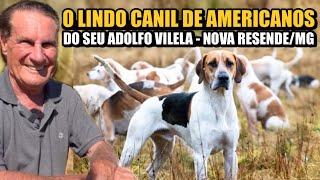 MANTENHO ESSA RAÇA PRA NÃO ACABAR - VERDADEIRO AMERICANO CAÇADOR