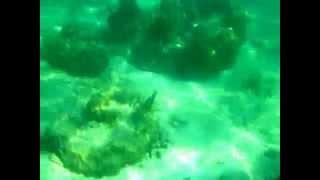 Khai Island, Phuket Thailand (honeymoon)