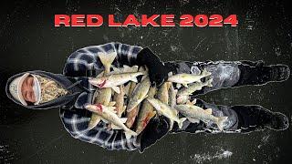 Early Ice RED LAKE 2024 (The Bite Is On!)