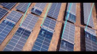 The World’s Leader in Robotic Solar Panel Cleaning – Ecoppia