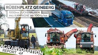 1000 ha Rüben im Innviertel - Von der Pille bis zur Zuckerrübe | Agrarvolution Report