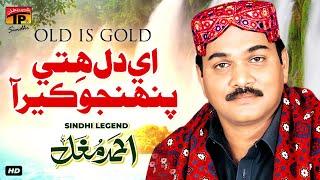 Aey Dil Hite Pehinjo Kaer Aa | Ahmed Mughal | TP Sindhi