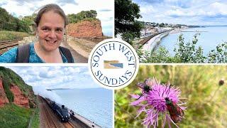 DAWLISH to TEIGNMOUTH Walk (With STEAM TRAINS) | South West Coast Path | Devon