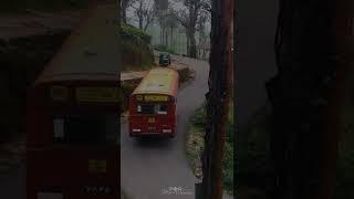 Travel in Sri Lanka Madulsima Road - Ceylon #shorts