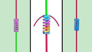 FG knots - Easy way to connect strong fishing line