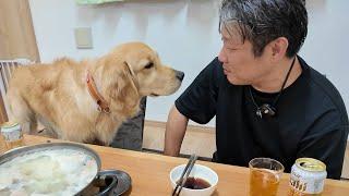 I was appalled by the pet shop employee's remark that disrespected his life. 【Golden Retriever Japan