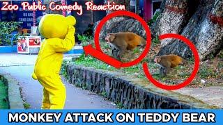 Teddy Bear Attack On Monkey  | Teddy Bear Prank | Am Action