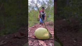 How do you drink the water from a coconut? #outdoors #survival #bushcraft #camping