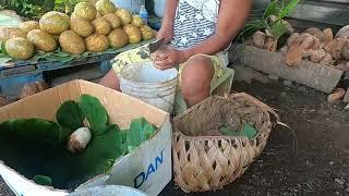 UMU/Samoan Way of Cooking (Taro & bread fruit)chicken,