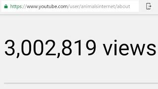 youtube.com/animalsinternet reaches 3.000.000 views.