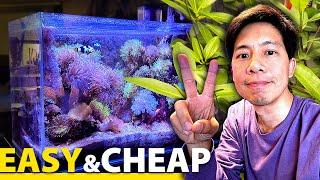 IT'S HERE: 17g Mangrove Reef Tank update!!