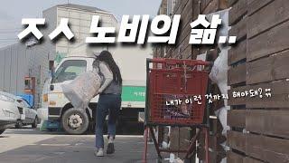 사원수 4명 ㅈㅅ기업 직장인의 잡일 모음. 주말 일상과 숨겨둔 요리실력 대공개 vlog