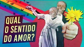 Por que a gente ama? | A ilusão mais poderosa da mente