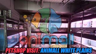 Petshop Visit - Animall White Plains by Abet Verches