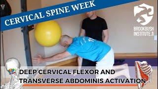 Deep Cervical Flexor and Transverse Abdominis Activation