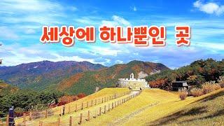 산속 10만평 을 아픈 아내를 위해 정원으로 만든이가 있으니 / 로미지안 가든/ 정선