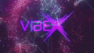 Techno Vibes #1 Mix 2024 | VibeX