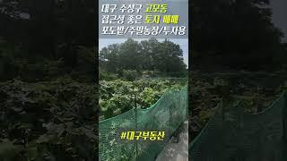 자전거 타고 살살 가서 포도 따보자~!! #대구부동산