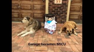 Matthew Manuel Nel - Evolution of the MICU