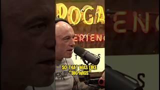 Big Wigs#bigwigs #syphilis #joerogan #joeroganexperience #joeroganpodcast #jre #jreclips #jrepodcast