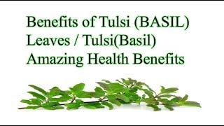 Benefits of #Tulsi(BASIL) Leaves -  Tulsi (Basil) Amazing #Health #Benefits