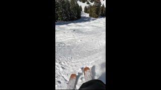 Not the bent pole  #shorts #crazy #cool #skiing #gopro