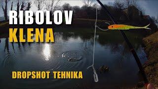 Ribolov klena dropshot tehnikom - Dropshot Fishing for Chub