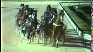 1980 Hunter Cup harness race (Pure Steel)