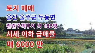 토지매매 울산 울주군 전원주택부지로 적합한 토지 급매