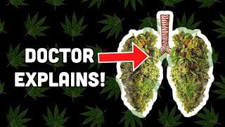 Doctor Explains: How CANNABIS affects your Health!