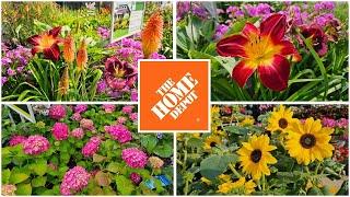 Late June 2024 Home Depot Garden Center Plants Perennials & Shrubs NEW ARRIVALS!