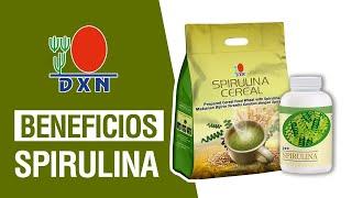 DXN Spirulina De Ganoderma PARA QUE SIRVE ¿Spirulina DXN que Contiene?