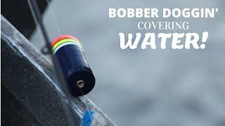 Your Local Oregon Angler (day 14) Bobber Doggin *23* River Miles For 3 Small Fish|Coastal Steelhead|