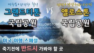 미국 옐로스톤 & 그랜드티톤 국립공원 여행 첫째날 / #잭슨홀공항 #웨스트떰 #옐로스톤식당 #옐로스톤렌트카