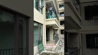 三乡｜雅居乐畔山中心城｜带大平台｜全新精装四房｜单价8500#露台花园 #买房 #二手房 #爱生活爱养花 #二楼带大露台的房子 #带花园#养老 #度假 #澳门 #香港 #性价比超高 #别墅