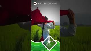 Dhola Tere Lai || Ahmed Nawaz Cheena || Shorts || M3tech