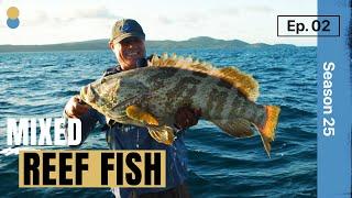 Massive Cod & Colourful Reef Fish: Thrilling Fishing Adventure on Queensland’s Capricorn Coast!