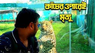 গুজরাটের ফরেস্ট সাফারী || Statue Of Unity || Jungle Safari and Pets Zone Tour || Gujrat Tour