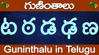 ట ఠ డ ఢ ణ గుణింతాలు | Ta Tta Da Dda Nna guninthalu | How to write Telugu guninthalu  @TeluguVanam ​