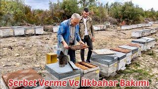 Arı Şerbet Verme Ve İlkbahar Bakımı / Arıcılık