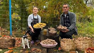  Harvesting and Baking with Fresh Walnuts: A Village Tradition 