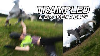 GOPRO HORSE FALL!