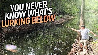 BLUEGILL Fishing The Bottom Of a River [Catch, Cook] Hooked This GIANT Fish!!