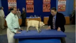 Antiques Roadshow Animated Pig Pull Toy