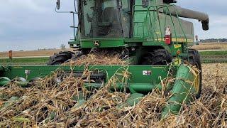 Corn Harvest