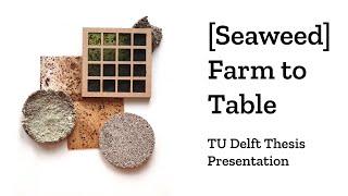 TU Delft Explore Lab Architecture Thesis - [Seaweed] Farm to Table