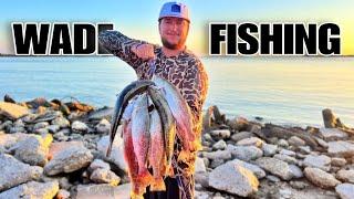 We caught HUNDREDS of SPECKLED TROUT while WADE FISHING! (Catch & Cook)